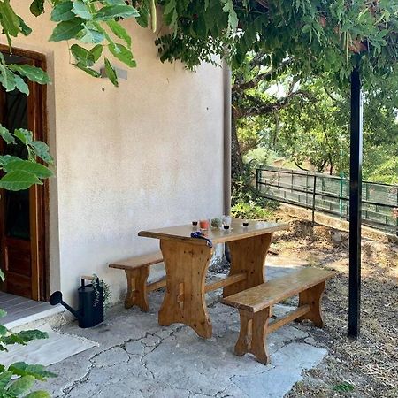 Zen relax a pochi passi da Palinuro Villa Centola Esterno foto