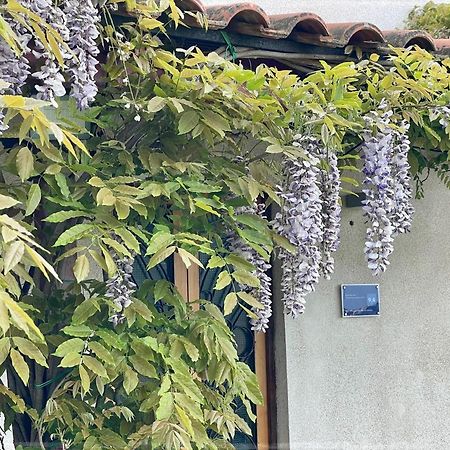 Zen relax a pochi passi da Palinuro Villa Centola Esterno foto