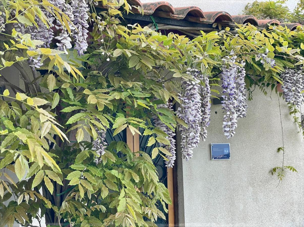 Zen relax a pochi passi da Palinuro Villa Centola Esterno foto